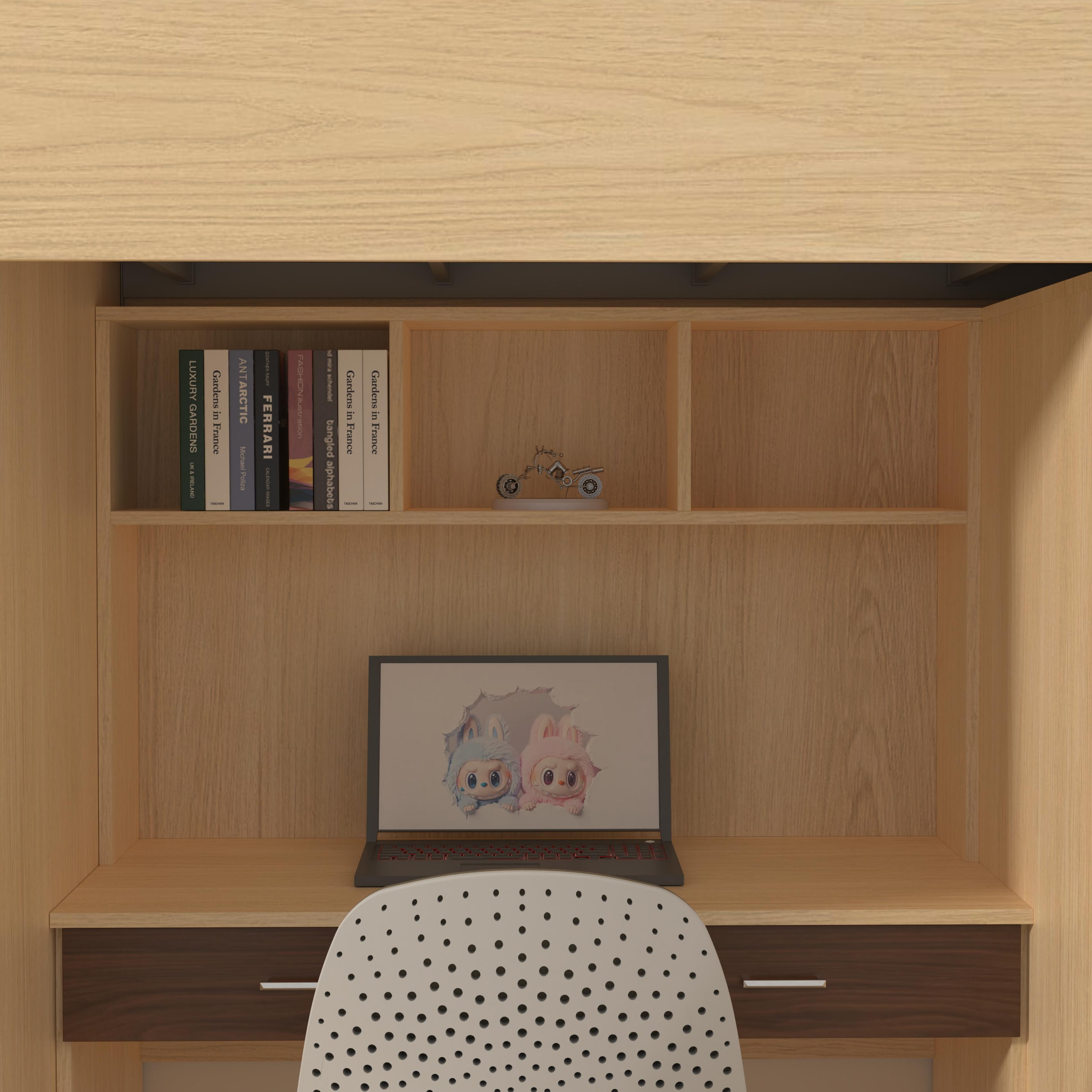 Loft Bed with Desk & Wardrobe | All-In-One Kids Study Bed